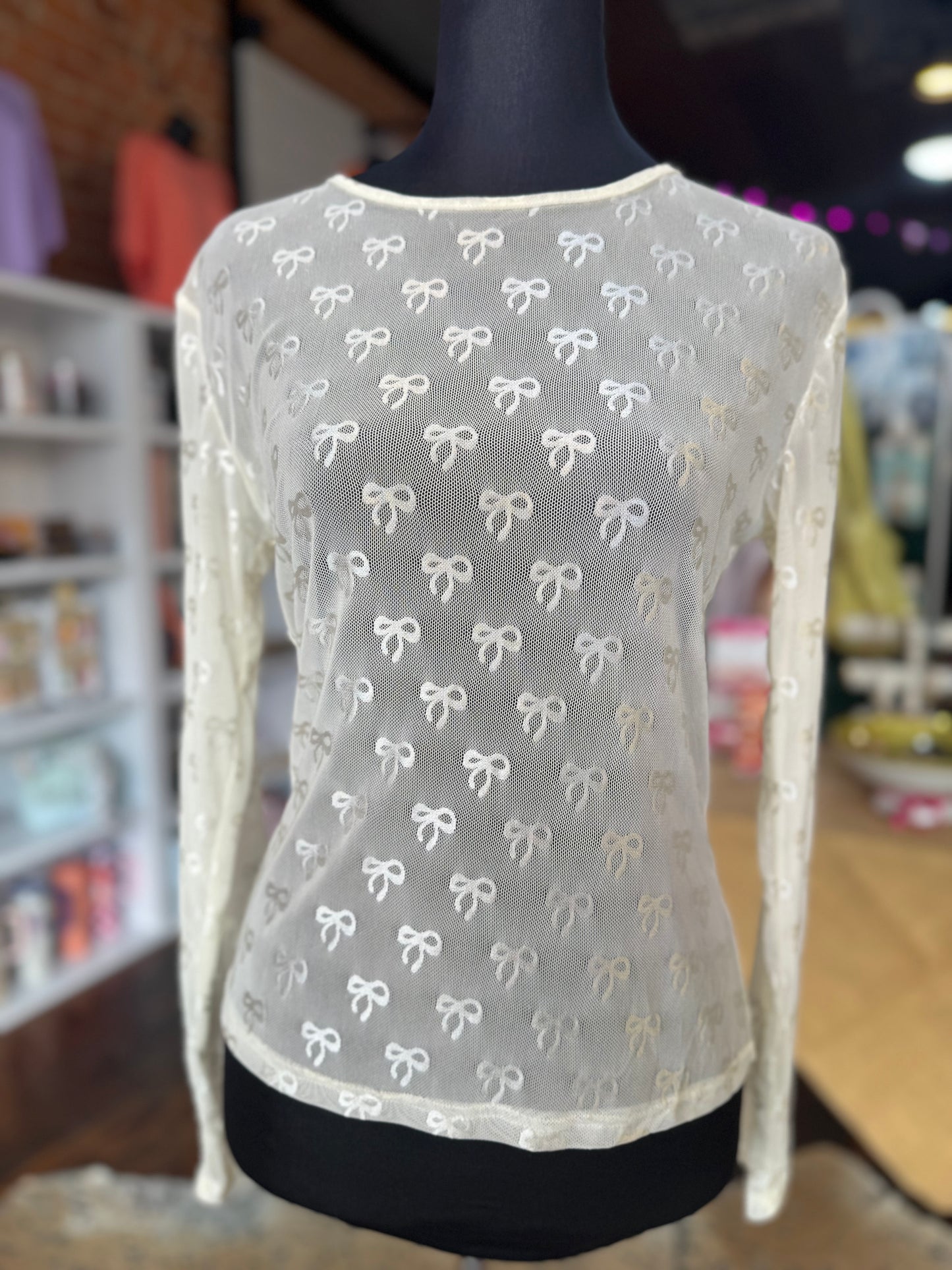 Ribbon Embroidered Mesh Shirt in Cream