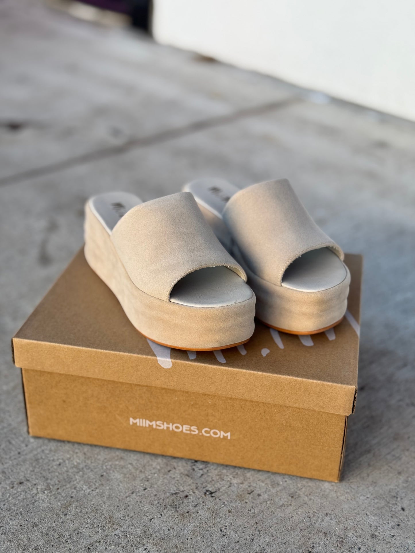 Warm Wedge Platform Sandals