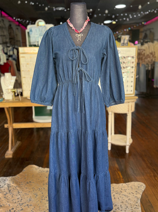 Daniella Denim Maxi Dress