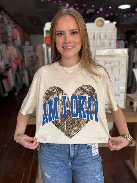Am I Okay? Graphic