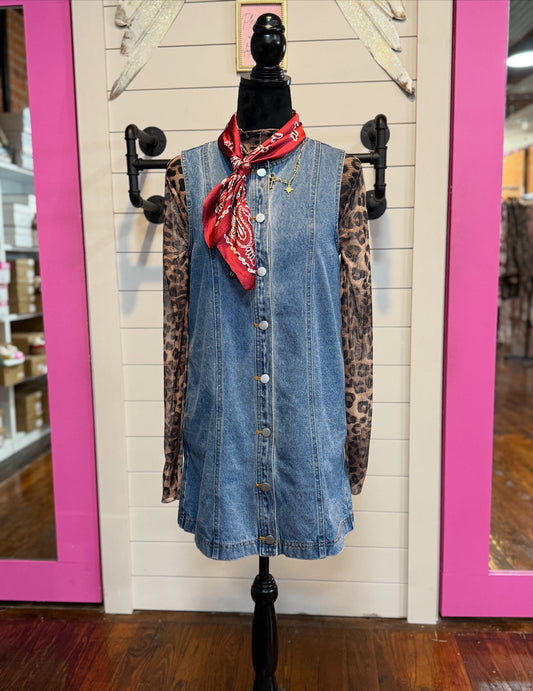 Kait Denim Button Up Dress